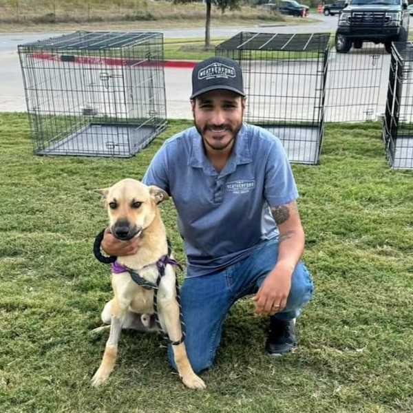 Shelter Dogs Adoptions at Our Aledo Branch